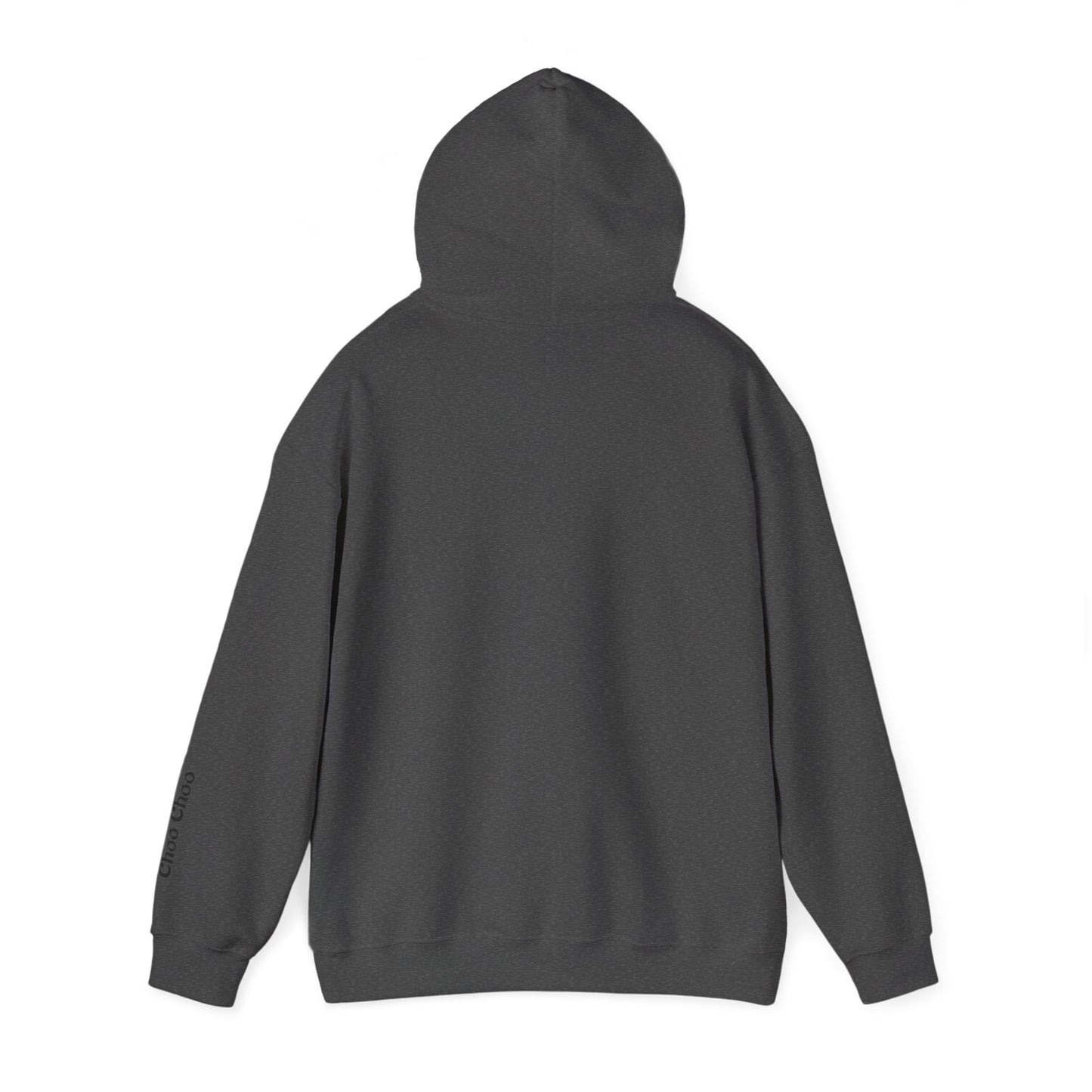 Conductor of a Hot Mess Express Hoodie, Funny Hoodie, Unisex Sweatshirt, Cozy Gift, Trendy Streetwear