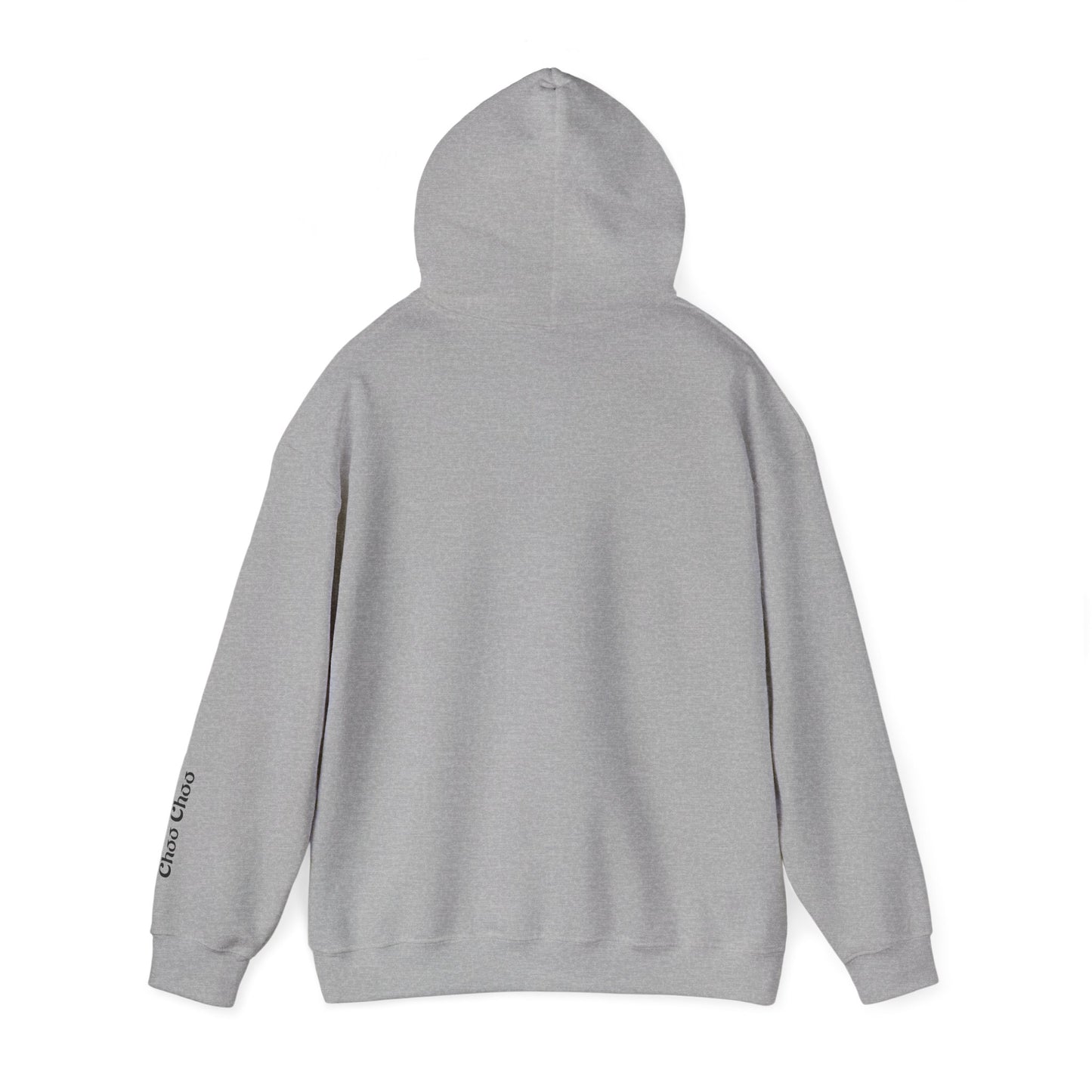 Conductor of a Hot Mess Express Hoodie, Funny Hoodie, Unisex Sweatshirt, Cozy Gift, Trendy Streetwear